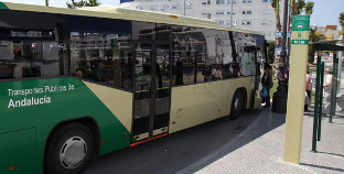 Bus metrooplitano