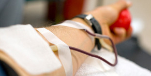 Donacion sangre 2