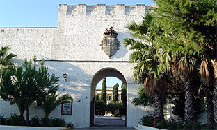 Palacio guzmanes