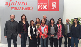 Psoe siria