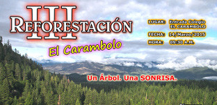 reforestacion_carambolo