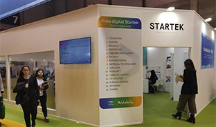 Startuo fitur
