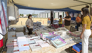 Mercadillo palacios