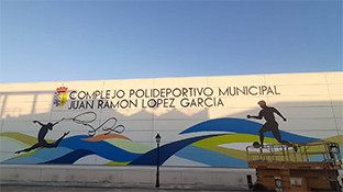 Polideportivo municipal olivares