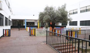Colegio olivo