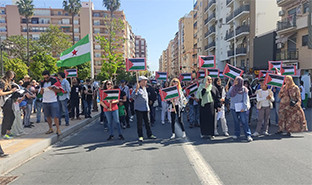 Manifestaciu00f3n Andau00f1ucia por palestina