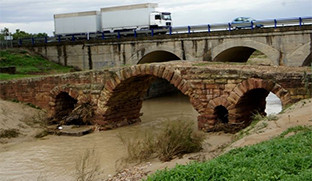 Aceite cuenca