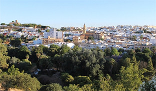 Alcala guadara