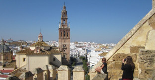 Alcazar carmona 1