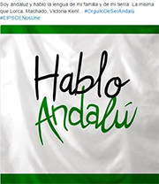 Andaluz psoe