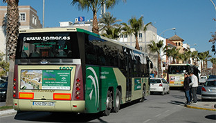 Autobuses amarillos