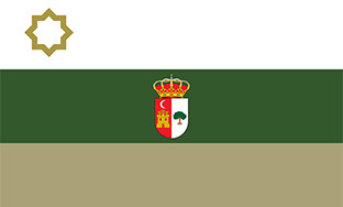 Bandera puebla