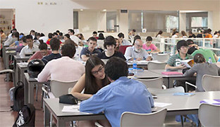 Becas larinconada 1