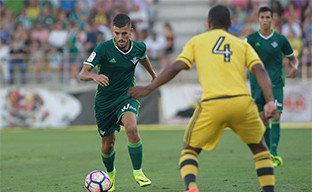 Betis colombino