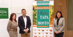 Bollullos tapa
