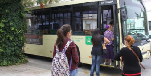 Bus palacios