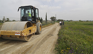 Caminos rurales palacios 1