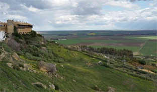 Carmona paisaje