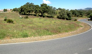 Carretera castilloguardas