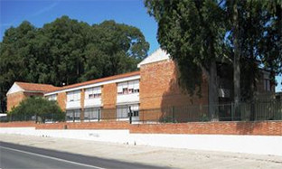 Ceip eucaliptos