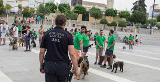 Censo perros arahal