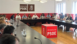 Comit psoe sevilla