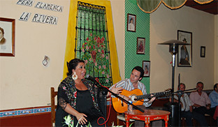 Concurso pea flamenca guillena