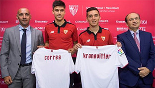 Correa kranevitter