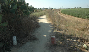 Corredor verde palacios