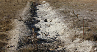 Cortijo cuarto