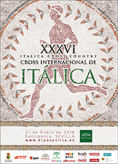 Crosss italica 18