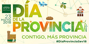 Diadelaprovincia