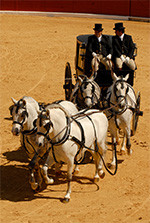 Enganches espartinas