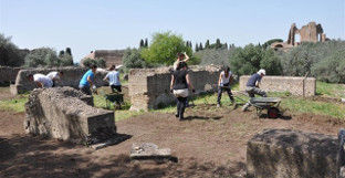 Excavacion arqueologica