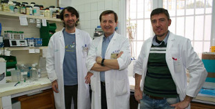 Fecundacion