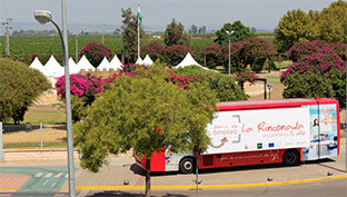 Feria empleo rinconada