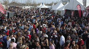 Feria ganadera palacios2