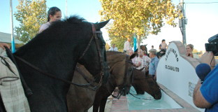 Feria lospalacios