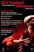 Flamenco olivares