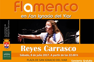 Flamenco viar