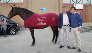 Fuentedeandaluca SICAB