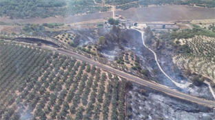 Incendio benacazn