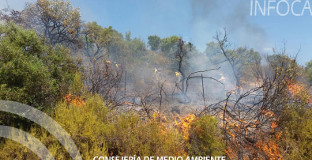 Incendio castillo guardas