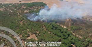 Incendio gibraleon