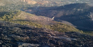 Incendio granada