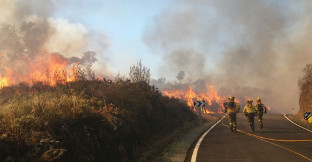 Incendio lanava