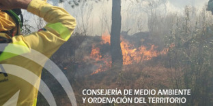 Incendio nerva