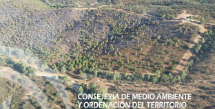 Incendio ronquillo