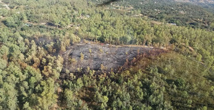 Incendio ronquillo montes