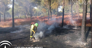 Incendio villamanrique